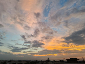IMG_20240519_185102.jpg